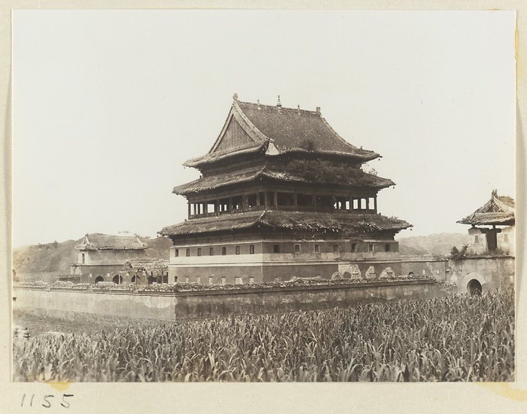 赫达·莫里逊相册：自然景观或城市全景