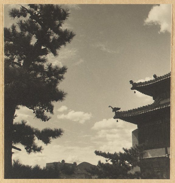 赫达·莫里逊相册：建筑细部与装饰