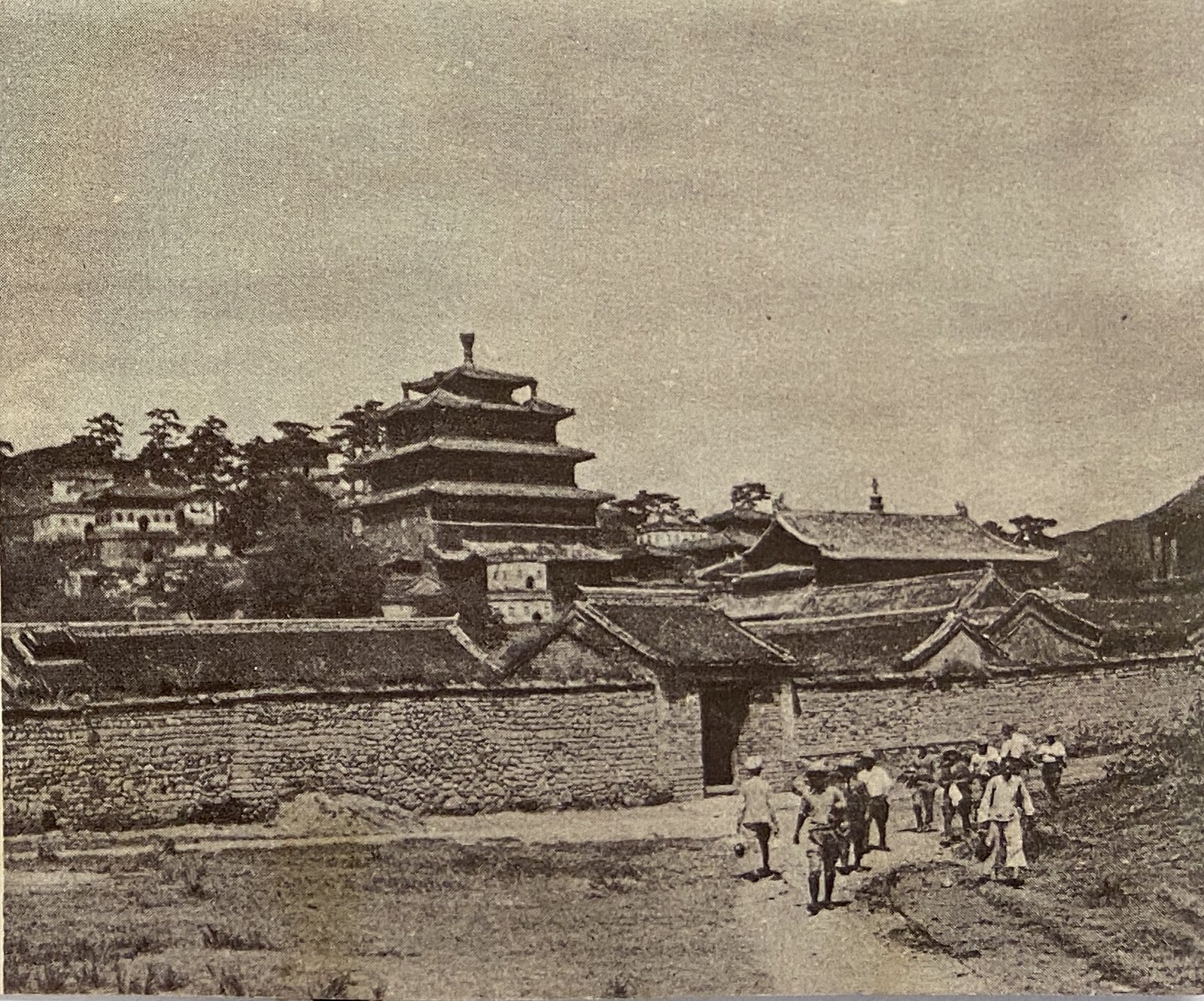 参观大佛寺的考察团
