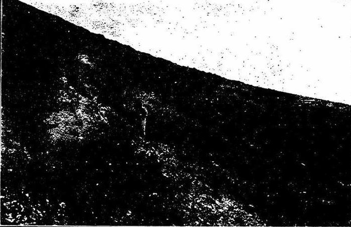 卡拉银矿矿床或露头