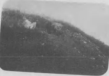 山坡露头