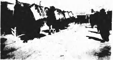 赤峰街道与行人