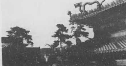 《热河资源调查报告》现场图（PDF第771页第3图）
