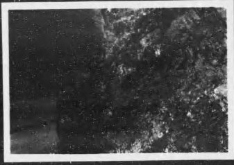 丰宁地区岩石或植被