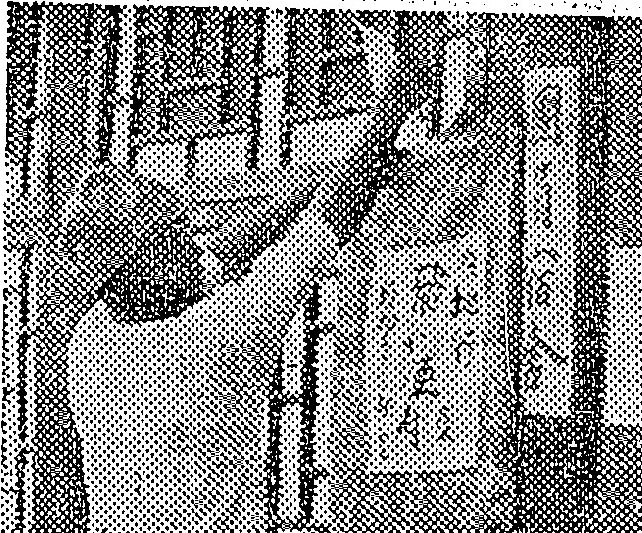 承德师范学校调查团宿舍的临时邮局