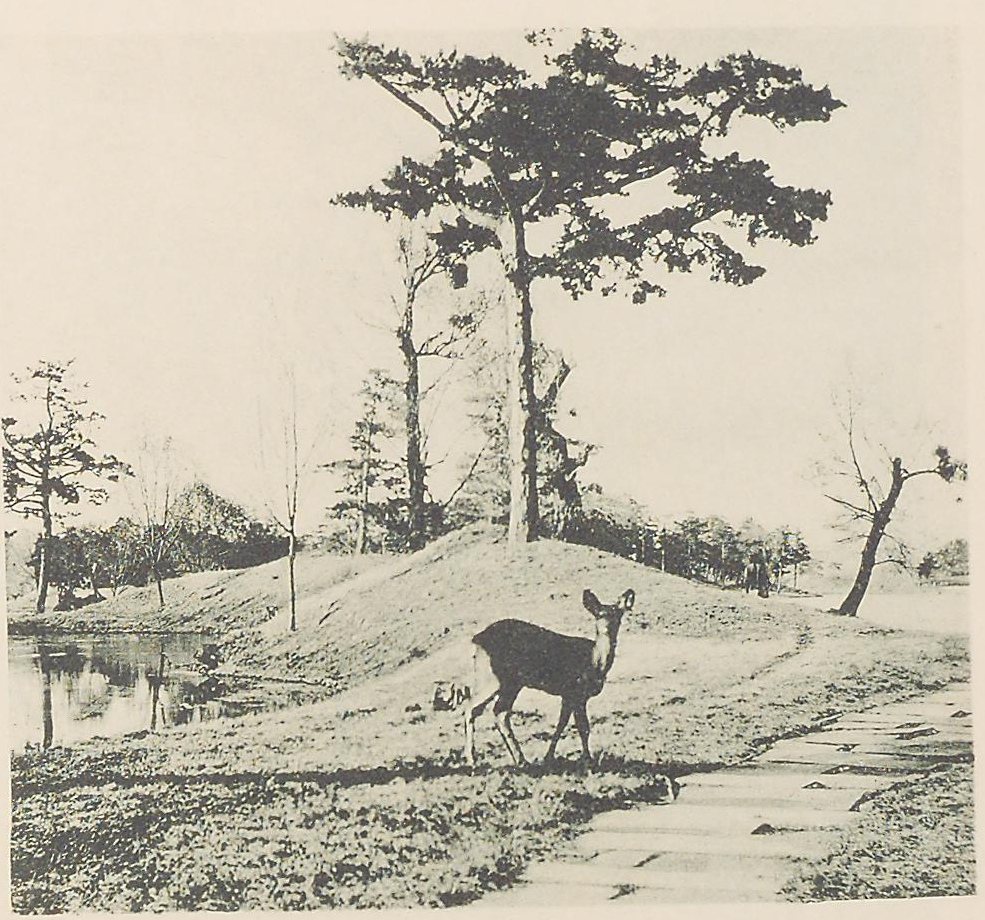 Deer Park in the Jehol Imperial Residence