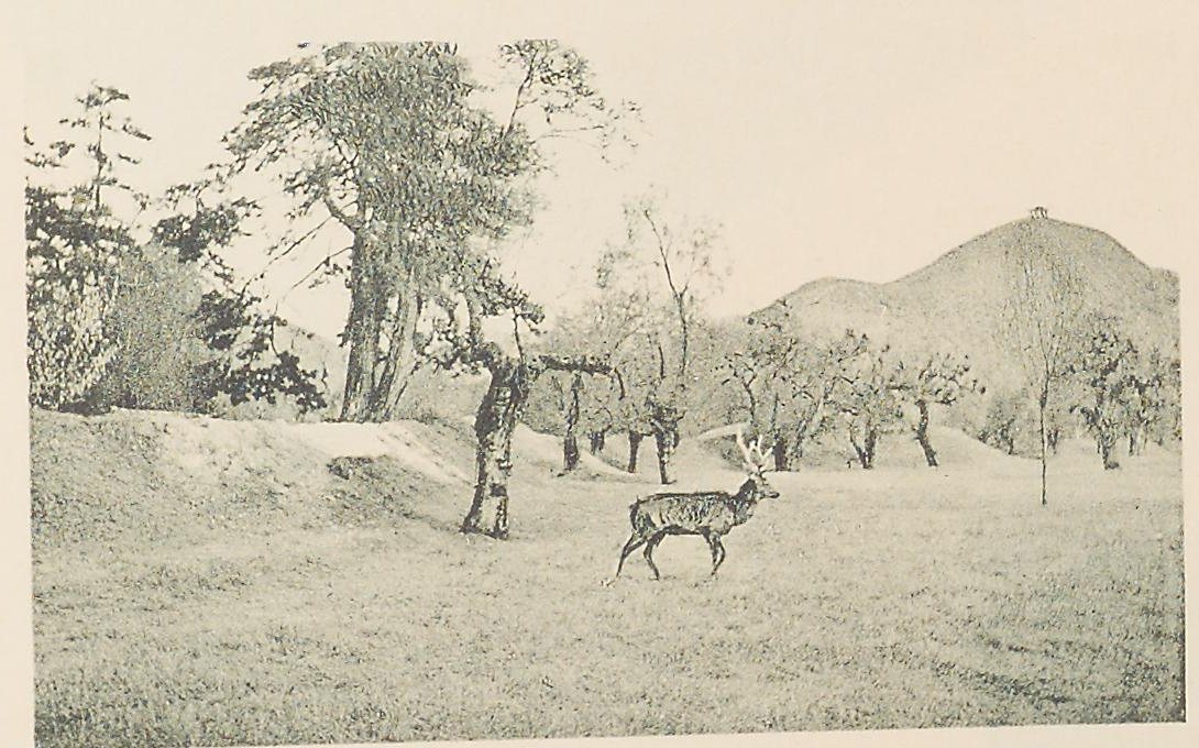 Deer Park in the Jehol Imperial Residence