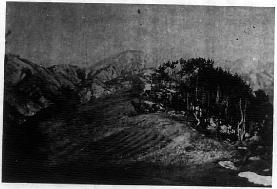 界岭口关门附近炮兵阵地