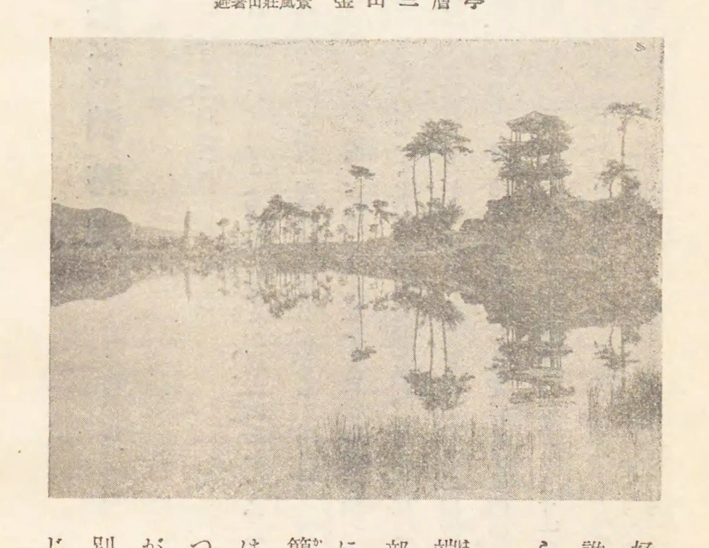 湖岸松林与水面