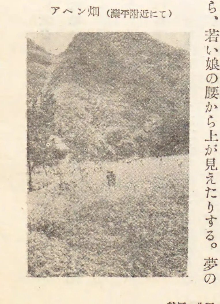 山地道路