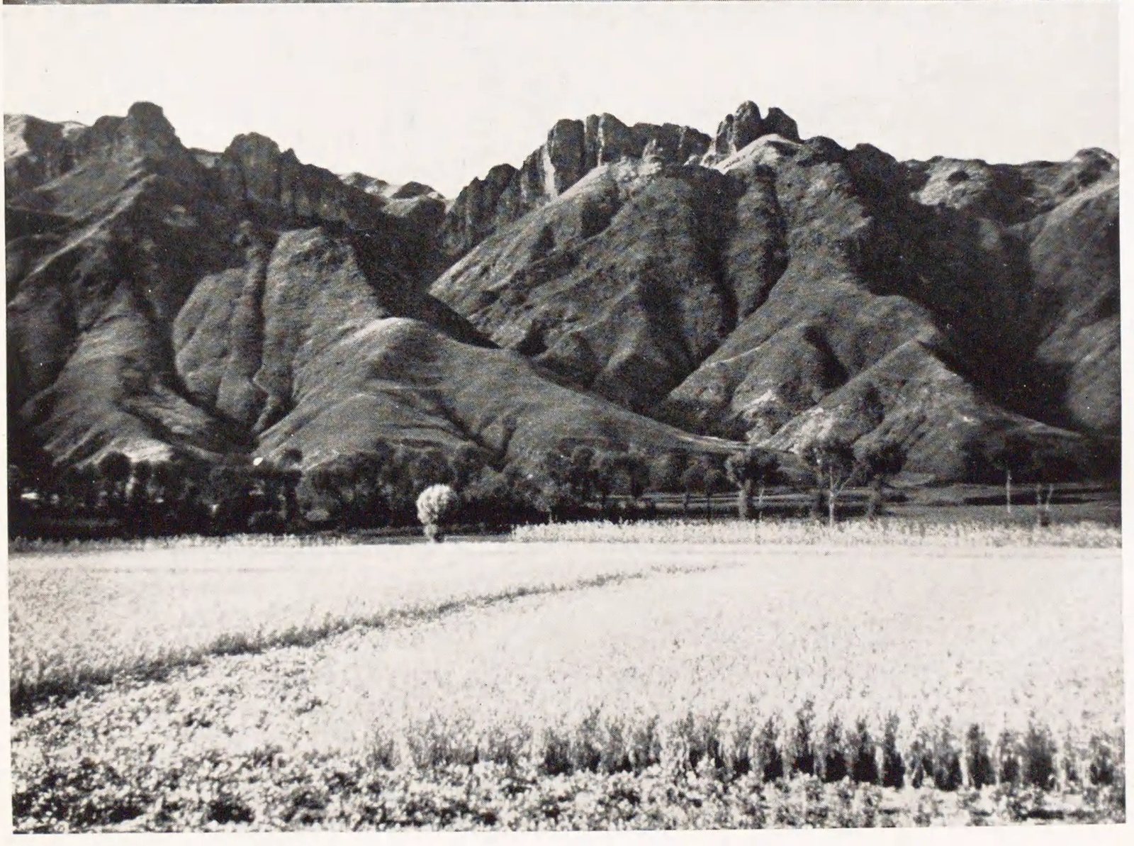 山地与田野