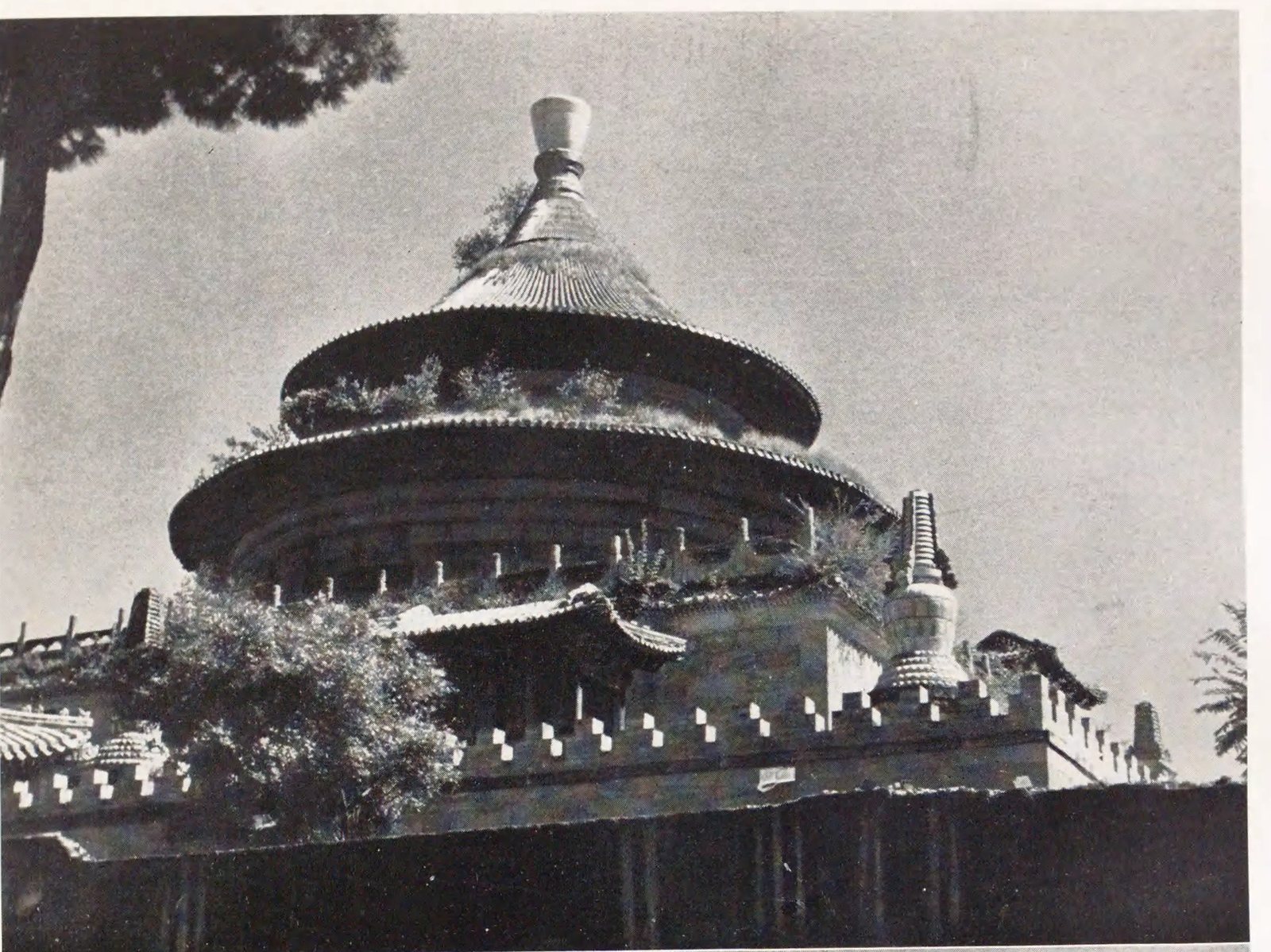 旭光阁（四）：近景