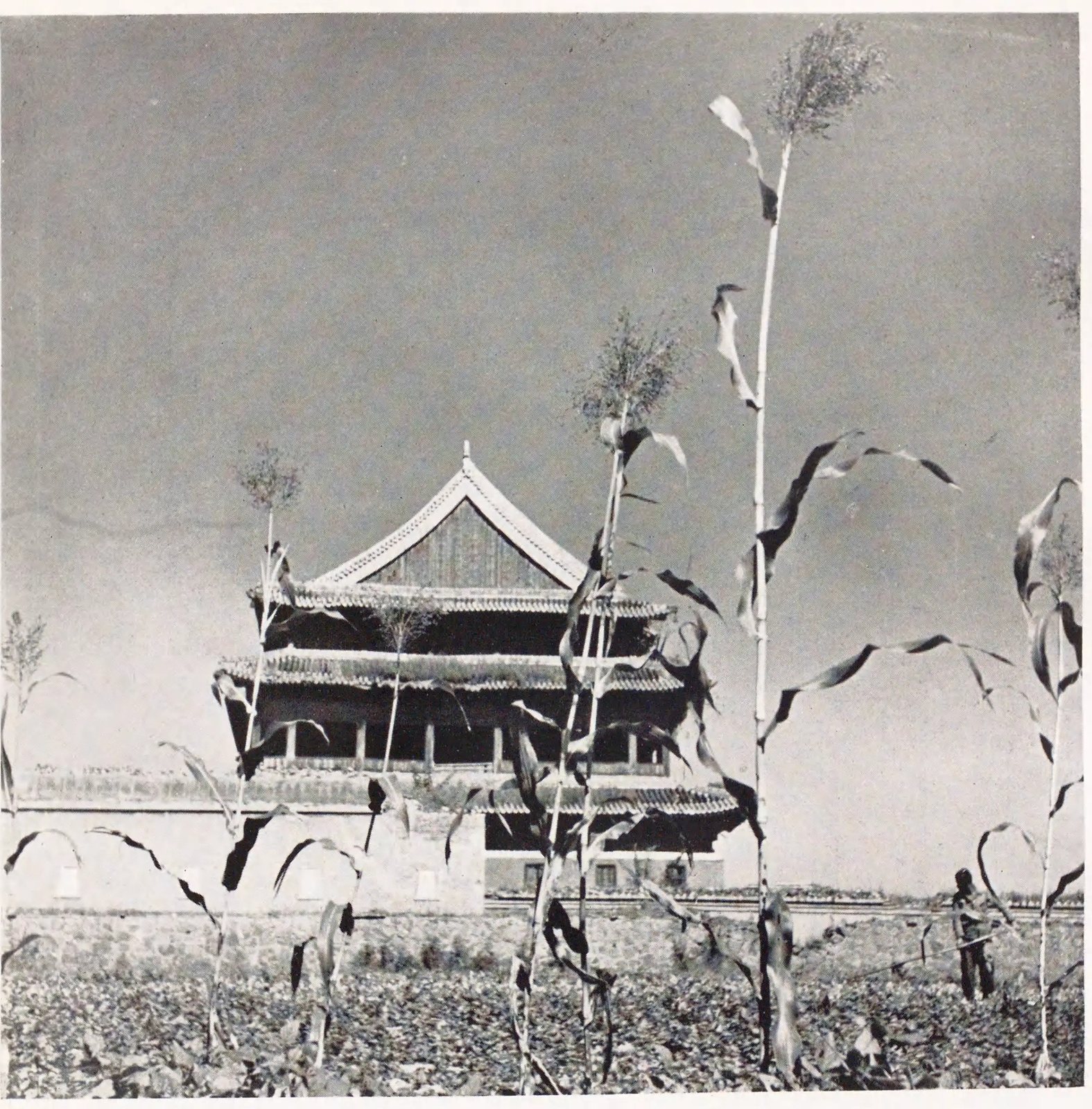 普渡殿