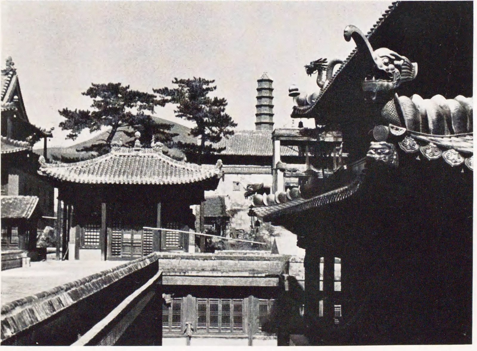 寺院屋顶与远处塔体