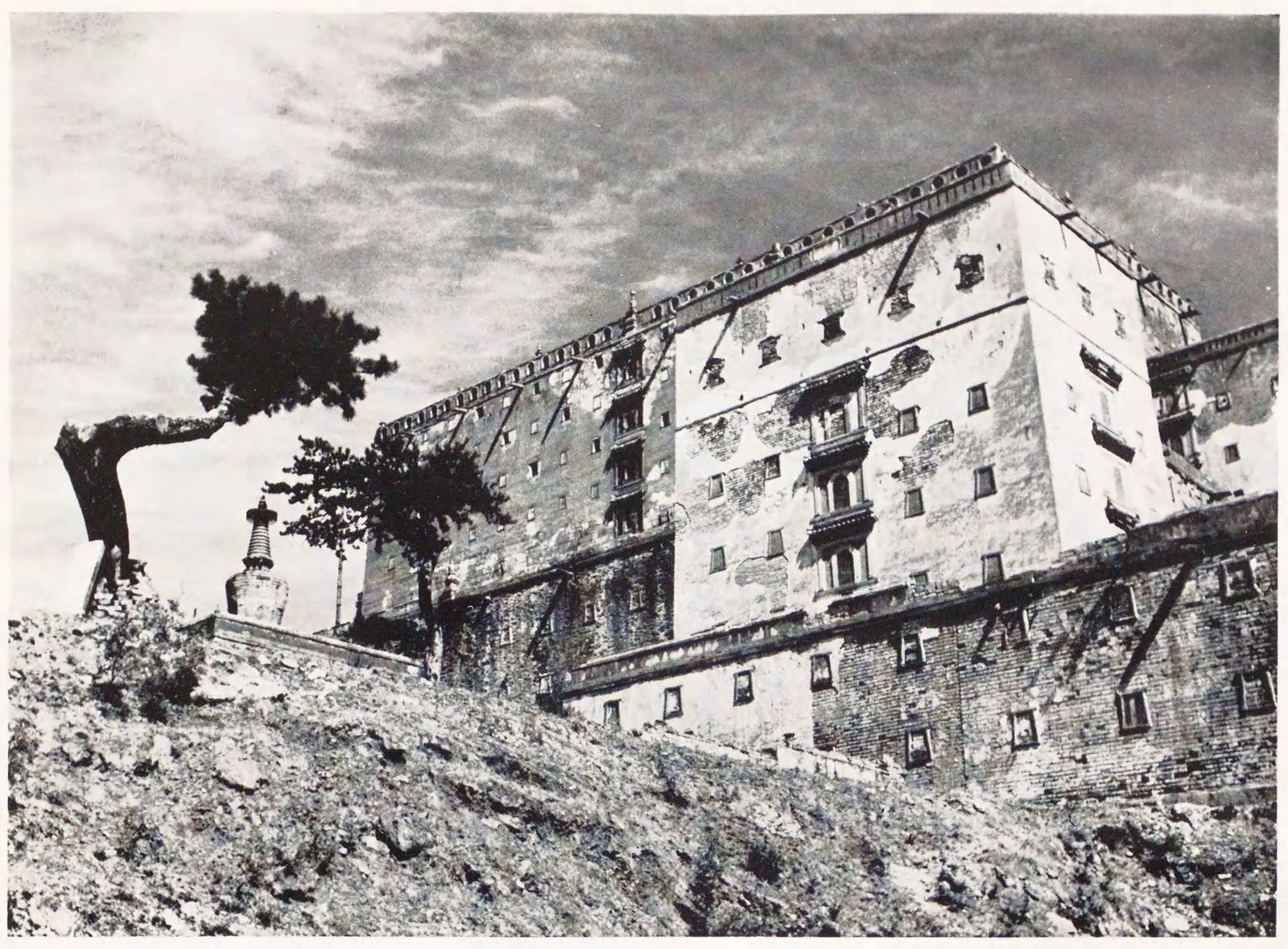 山坡高墙建筑与孤松