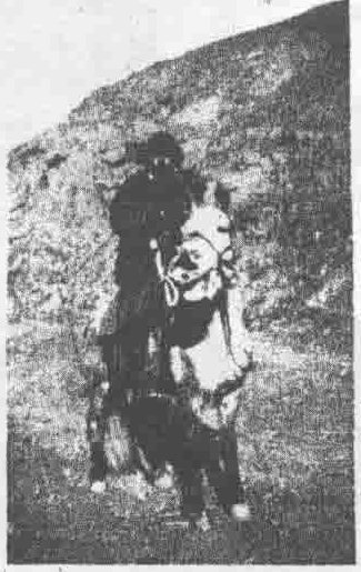 李树春骑马像