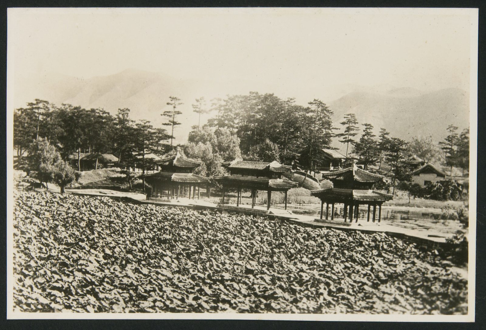 避暑山庄水心榭