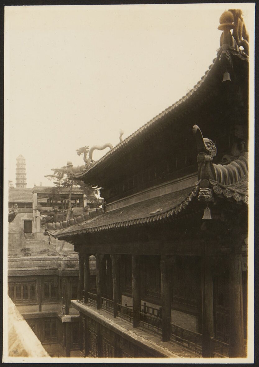 金色龙饰与海象