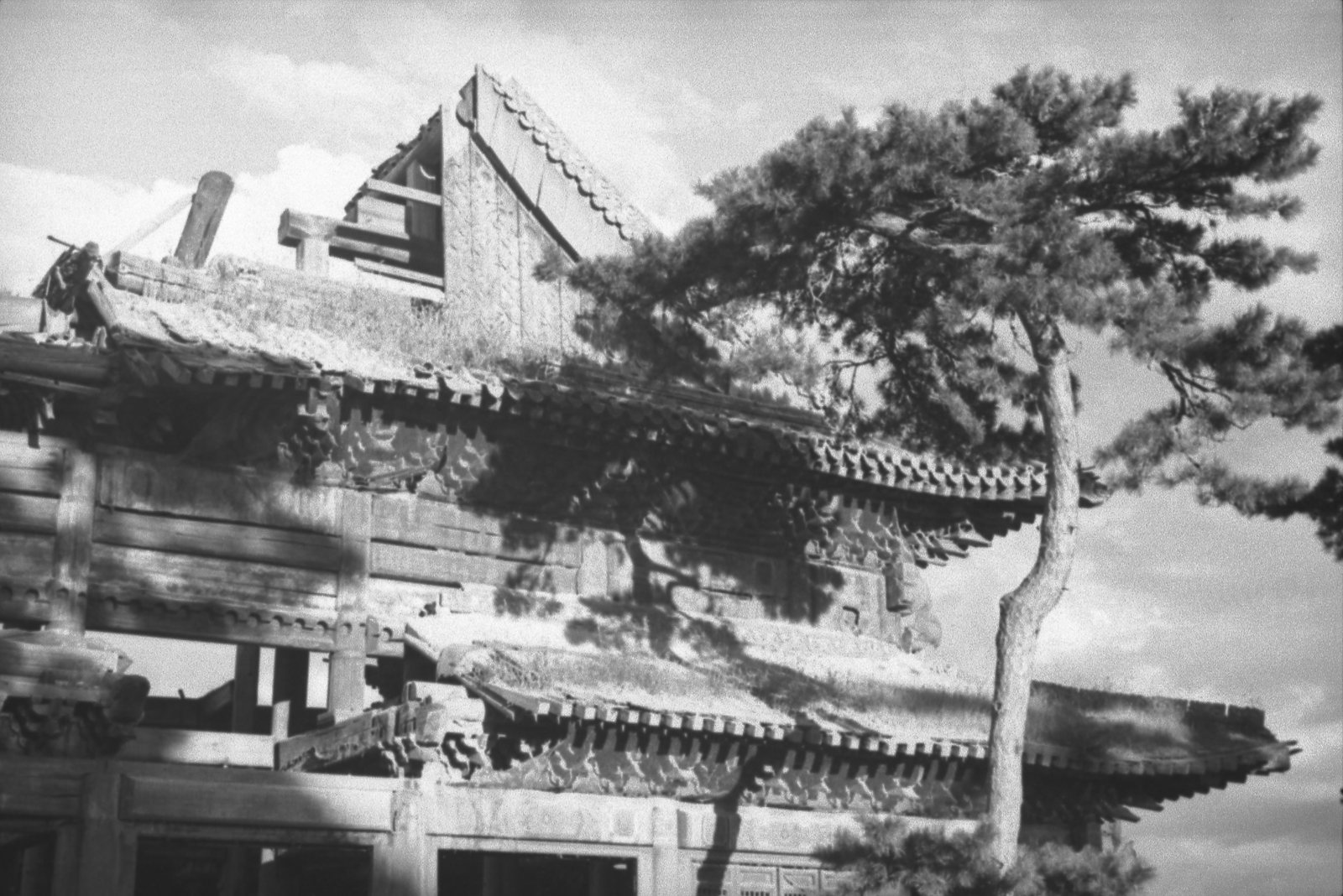 承德“布达拉”铜殿