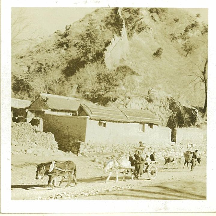 城内（潮河南） 雑観
