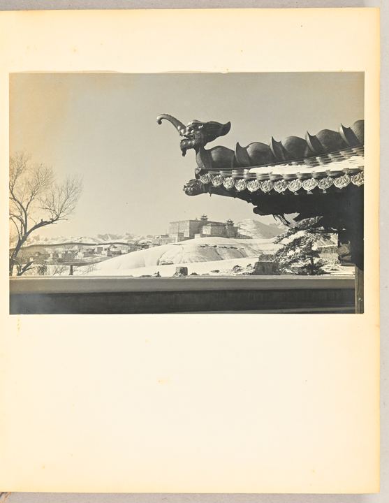 屋脊饰物与雪中宫苑（Roof ornament overlooking the snowy palace landscape）
