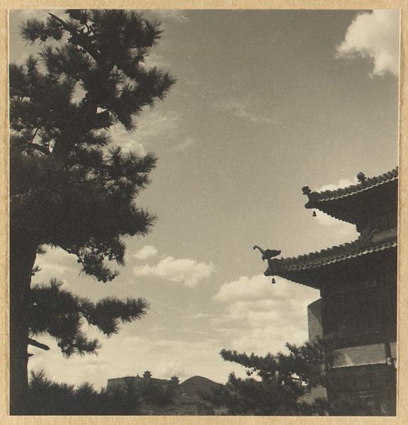 赫达·莫里逊相册：建筑细部与装饰