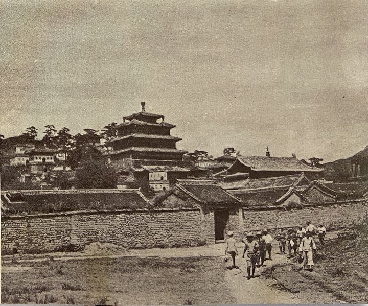 参观大佛寺的考察团