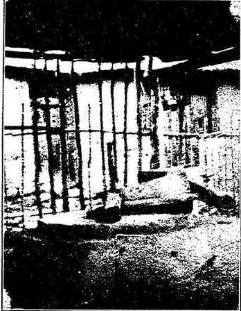 松树林矿场设施或选矿作业内景