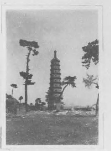 《热河资源调查报告》现场图（PDF第768页第1图）