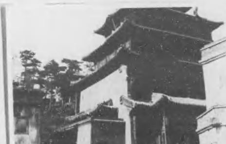 《热河资源调查报告》现场图（PDF第769页第3图）