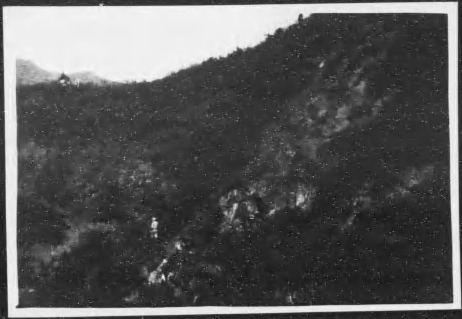 热河银铅锌调查地区山坡