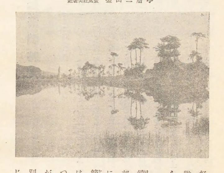 湖岸松林与水面