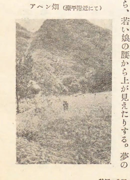 山地道路