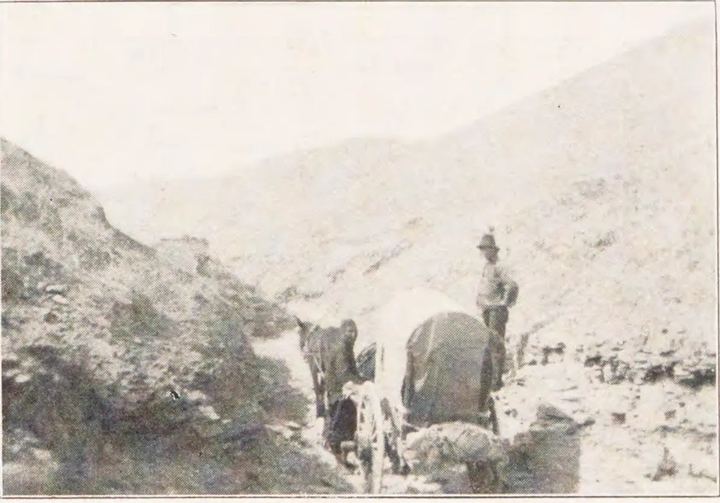 錦州―朝陽間道路(八家梁附近)