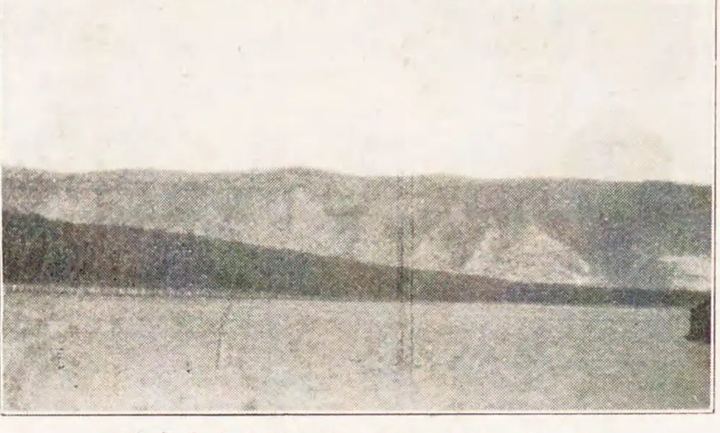 防火林（天寶山东方地区）