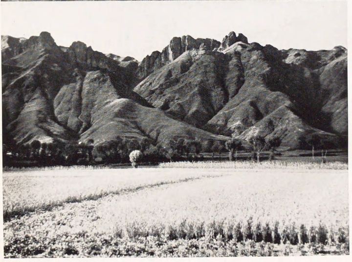 山地与田野