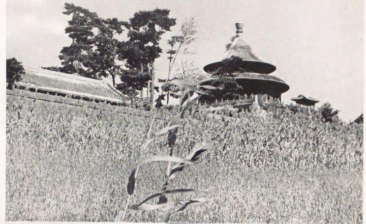 旭光阁（二）：远景