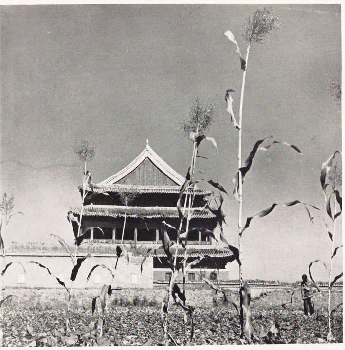 普渡殿