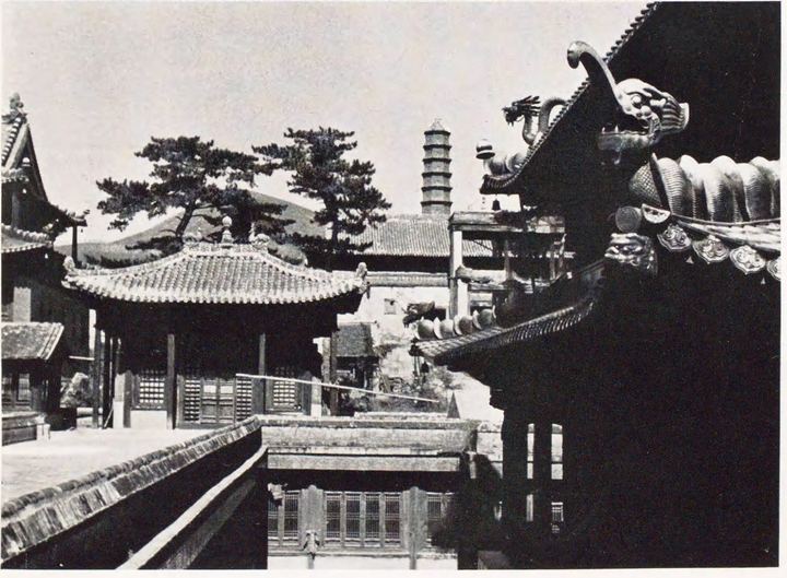 寺院屋顶与远处塔体