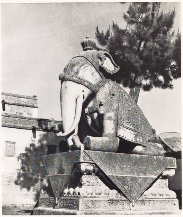 承德寺院石象