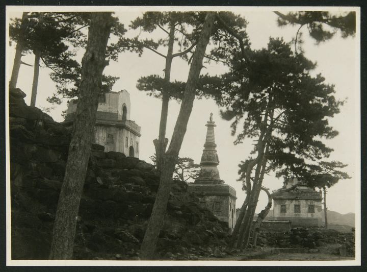 林间废墟