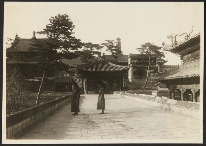 行走于平屋顶